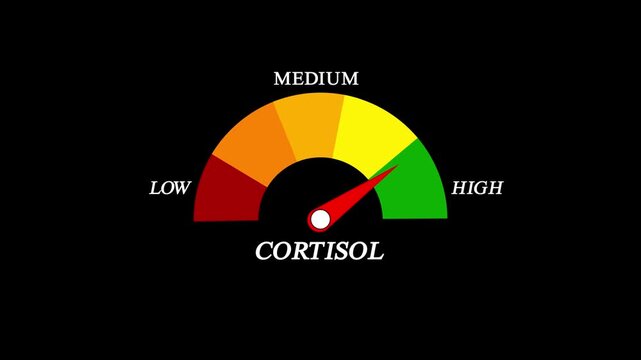 digital gauge displays cortisol level, ranging from safe low to critical high.Cortisol Level Gauge Animation from Low to High, Stress Indicator Meter animation