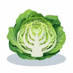 Obraz premium A crisp iceberg lettuce head with tightly packed bright green leaves creating unique wavering layers.
