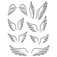 dove with wings art vector design hand art