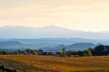 Sunset over the vineyards of La Rioja creating layered silhouettes of mountains and fields in golden light expressing the quiet atmosphere and environmental beauty of Spain’s autumn 