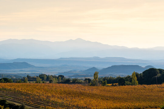 Sunset over the vineyards of La Rioja creating layered silhouettes of mountains and fields in golden light expressing the quiet atmosphere and environmental beauty of Spain’s autumn 