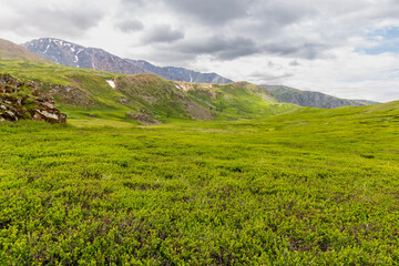 Fototapeta premium Panoramic view of a beautiful green valley