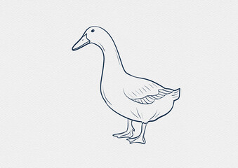 A detailed collection of hand-drawn fish illustrations featuring diverse freshwater and saltwater species like Carp, Hilsa, Tilapia, and Rohu. Each piece comes in a vibrant watercolor-style coloring.