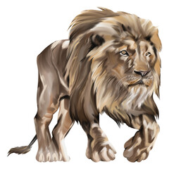 Digital watercolor painting of a majestic male lion walking confidently, symbolizing strength, pride, and leadership.