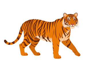 Naklejka premium Firefly_Tiger, color vector illustration. Inscription on illustration is a hieroglyph of tige