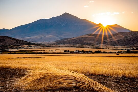 Mountain peak sunrise bathes golden field in light