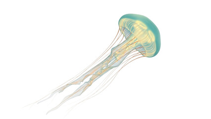 Illustration of a glowing jellyfish with long tentacles floating in deep black ocean waters