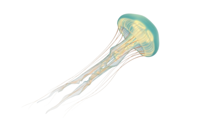 Illustration of a glowing jellyfish with long tentacles floating in deep black ocean waters