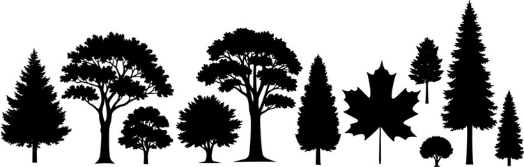 Fototapeta premium Silhouette of various deciduous and coniferous trees and maple leaf, representing different tree types in vector format.