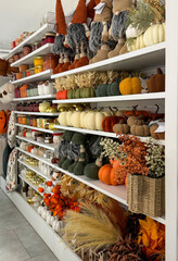 Shelves with cozy autumn decorations like pumpkins, candles, gnomes, and dried plants are perfect for seasonal design.
