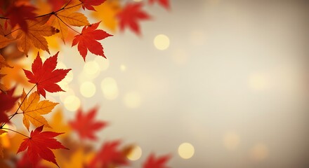 Fototapeta premium Autumn leaves with warm colors and bokeh light effect for background