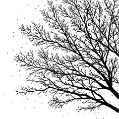 Bare winter tree branches covered with light snow dust, symbolizing quiet beauty and calm of the cold season.