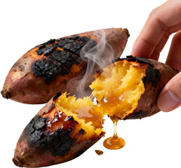 김오르는_갓구운_달콤한_겨울_군고구마