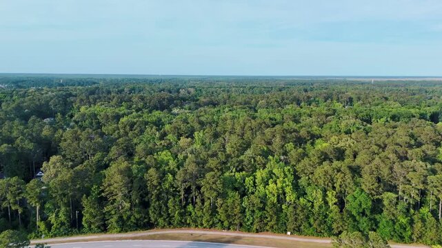 Aerial landscape of Richmond Hill trees in forest sunny summer day in Bryan County Georgia