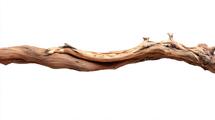 Fototapeta premium Straight snag of beautiful wood lies beautifully in the middle of the frame. White isolated background.