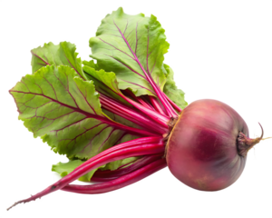  A beet, isolated on White Background ,PNG. AI Generated
