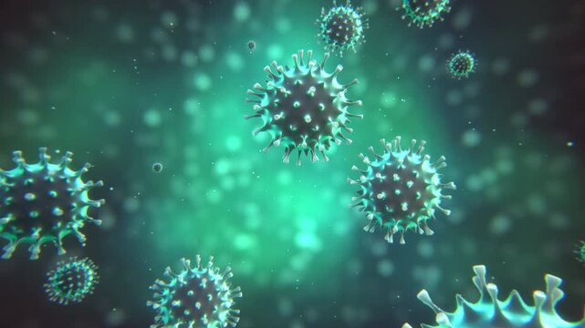 Influenza Virus