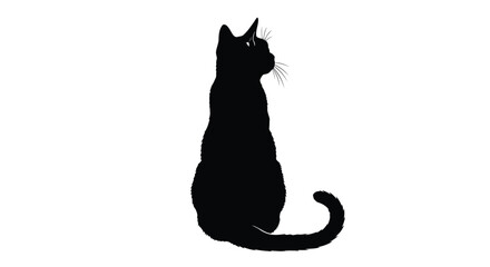 Silhouette of a black cat sitting looking back