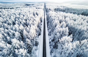 樹氷のカラマツ林の中を走る一本の道