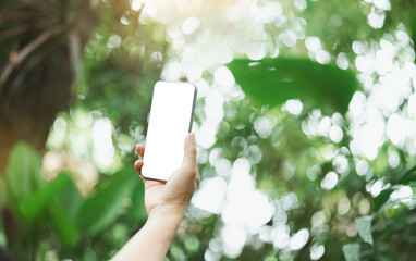 Person holding smartphone to capture nature in tropical forest, blank screen for mockup. Great for eco photography,outdoor content creation,eco technology,lifestyle in natural environment, mobile app