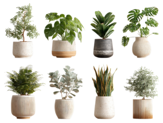 Botanical Variety: Collection of Green Potted Plants in Stylish Vessels for Home Interiors, Indoor Gardens, and Decorative Plant Concepts on Isolated Background Stock Photo