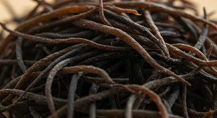 Close up of dried seaweed showing texture and organic forms against a neutral background