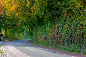 Autumn landscape, Terrain of hill countryside in Zuid-Limburg, Small road, street with curve under the tree tunnel, Epen is a village in the southern part of the Dutch province of Limburg, Netherlands