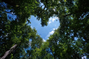 Heart-Shaped Tree Canopy Against Clear Blue Sky