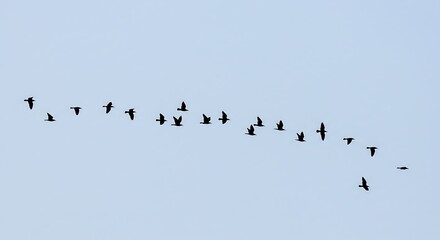 Birds flying in formation against a clear sky conceptual image