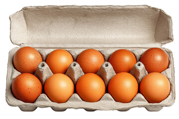 Fresh eggs in carton, arranged neatly on clean transparency background, showcasing their smooth, orange shells. Perfect for cooking and baking, these eggs symbolize quality and nutrition