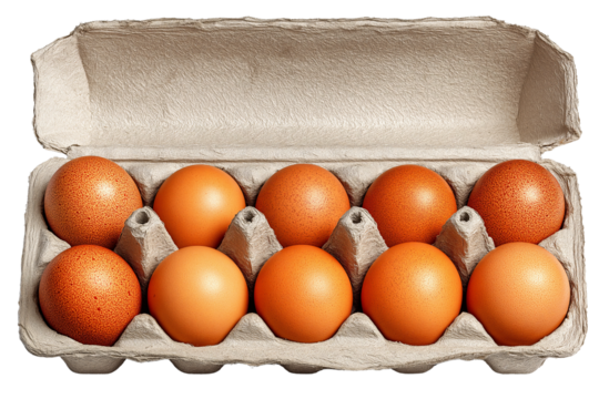 Fresh eggs in carton, arranged neatly on clean transparency background, showcasing their smooth, orange shells. Perfect for cooking and baking, these eggs symbolize quality and nutrition