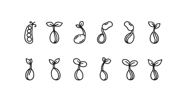 Collection of seedlings sprouting showing growth stages botanical icons simple line art abstract nature vector