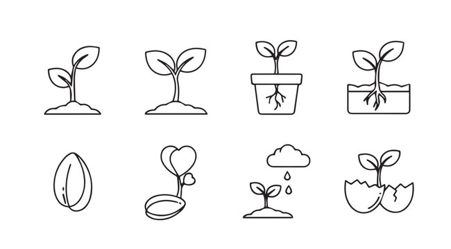 Hand drawn seedling growth stages icons representing plant life cycle and new beginnings vector