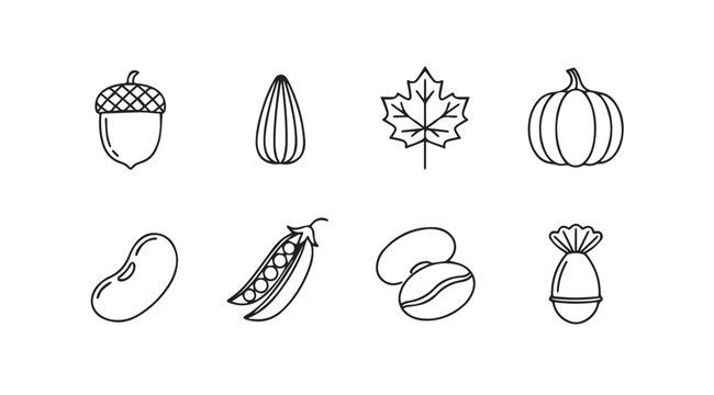 Hand-drawn autumn harvest icons featuring acorn pumpkin almond leaf bean pea coffee bean and nuts vector