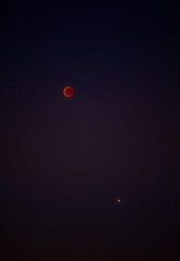 Blutmond während einer totalen Mondfinsternis am Nachthimmel © HOEFFEL