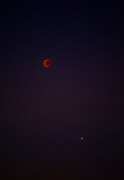 Blutmond w&auml;hrend einer totalen Mondfinsternis am Nachthimmel