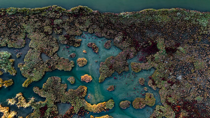An aerial view of a tidal marsh at golden hour with the warm light illuminating the tops of the...