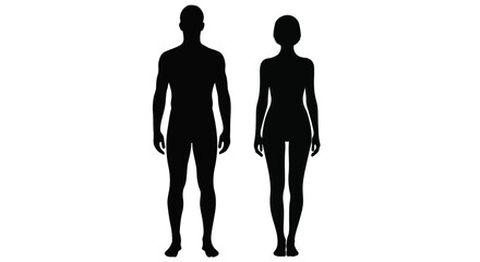 Silhouettes of male and female figures stand side-by-side, offering a simple yet impactful representation of the human form, showcasing the fundamental contrasts between the sexes.