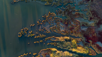 A top down aerial view of a coastal wetland with a network of water channels running through...