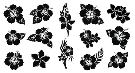 A striking collection of monochrome flower, meticulously crafted and showcasing an array of natural elegance. Capturing the delicate details of each bloom in a visually arresting arrangement.