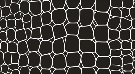 Abstract geometric pattern of interconnected lines. The design consists of a network of irregular shapes. A graphic representation of structure. 