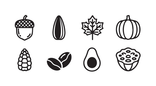 Collection of nature and food icons acorn sunflower seed maple leaf pumpkin avocado vector