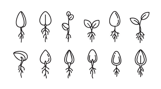 Hand drawn seedling growth stages set botanical line art icons natural plant development progression elements vector