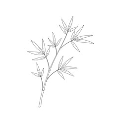Fototapeta premium An artistic sketch of a delicate bamboo branch with its slender leaves...