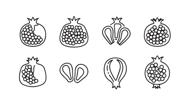 Hand drawn pomegranate fruit set fresh organic food elements for healthy eating vector