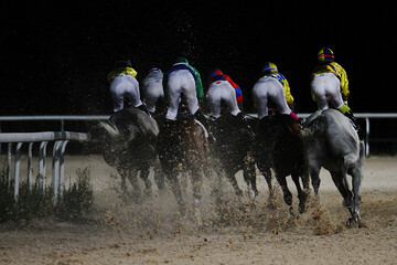 Carrera de caballos galopando por la noche la pista de arena, tierra y fibra del hipódromo © Diego
