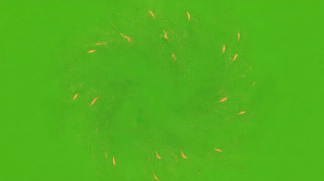 A Dandelion's Dance: A captivating display of dandelion seeds against a vibrant green backdrop, evoking the delicate beauty and the cyclical nature of life.