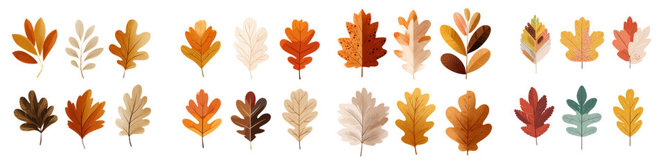 Fototapeta premium Stylized Minimal Graphic of Maple and Oak Leaves in Flat Design
