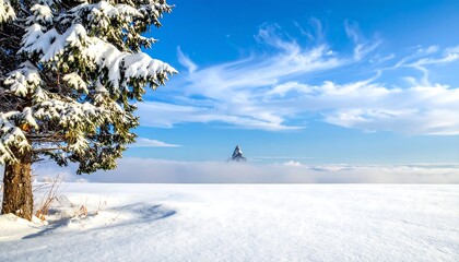 Winter scene featuring snowy field, trees, clouds, and distant mountains