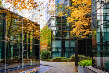 Modern Glass Building With Autumn Tree Reflection: Contemporary Architecture And Vibrant Yellow Foliage Creating A Striking Urban Contrast